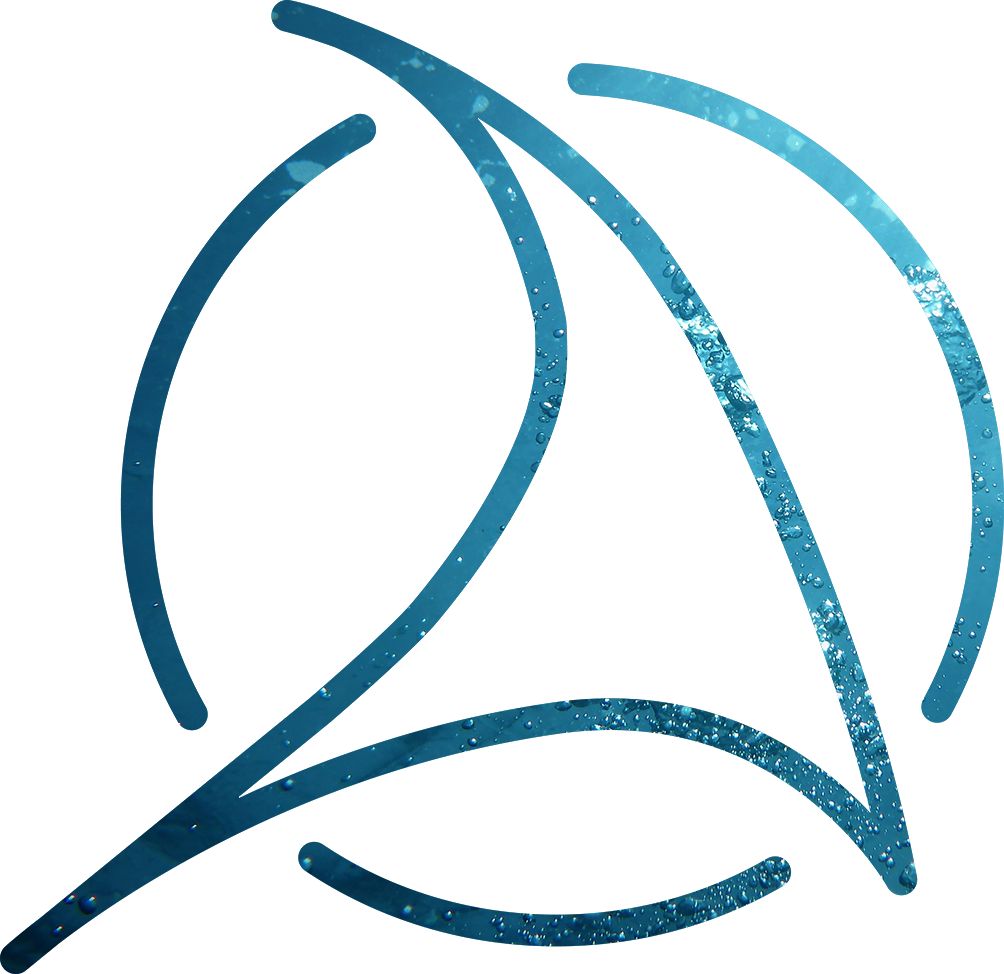 race guide logo large